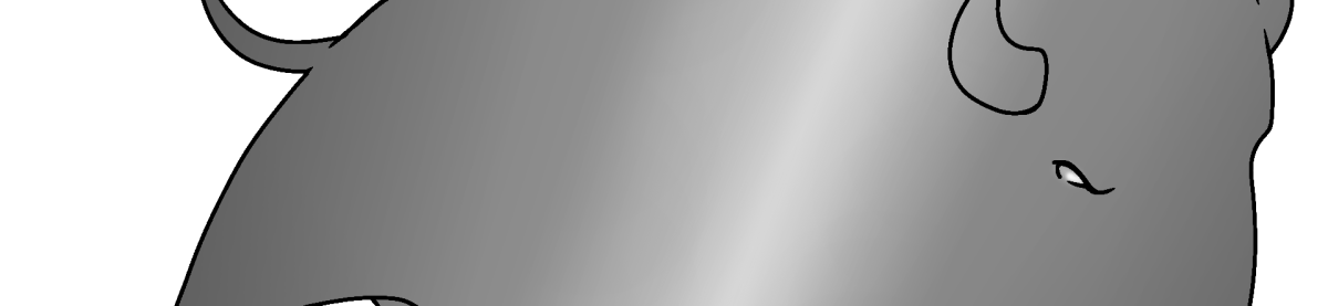 Steel Bison Custodial Services 